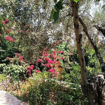 Angelica Villas Hotel Apartments Epidaurus Dış mekan fotoğraf