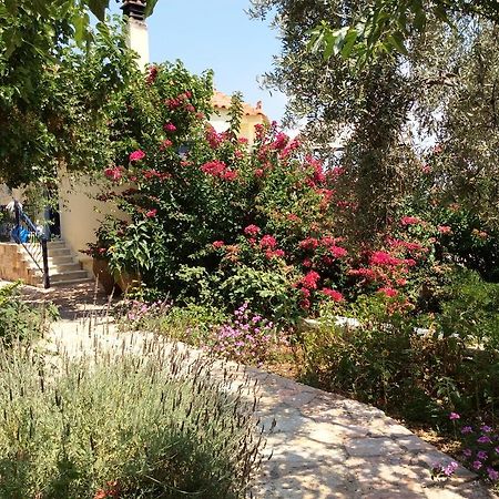 Angelica Villas Hotel Apartments Epidaurus Dış mekan fotoğraf