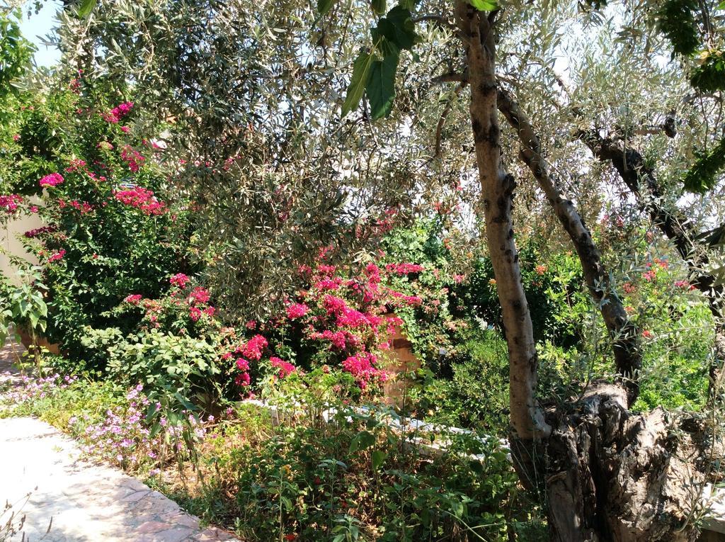 Angelica Villas Hotel Apartments Epidaurus Dış mekan fotoğraf