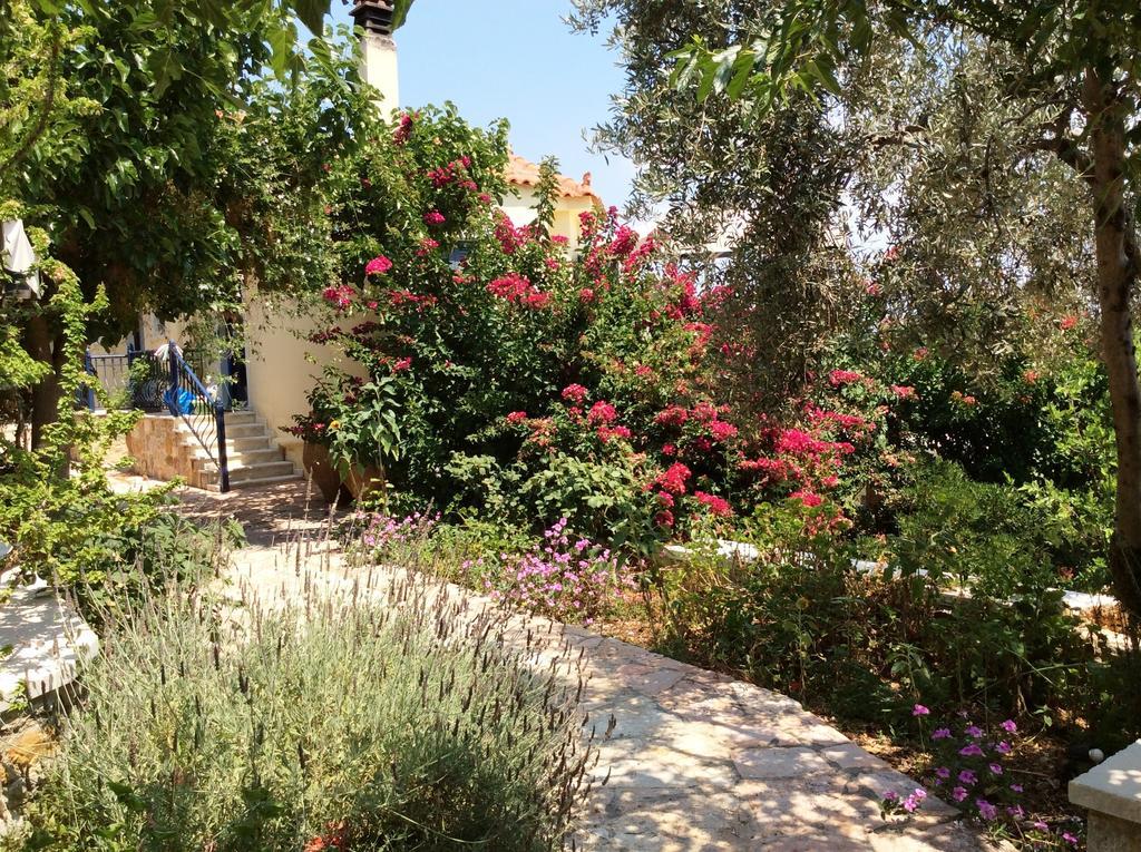 Angelica Villas Hotel Apartments Epidaurus Dış mekan fotoğraf