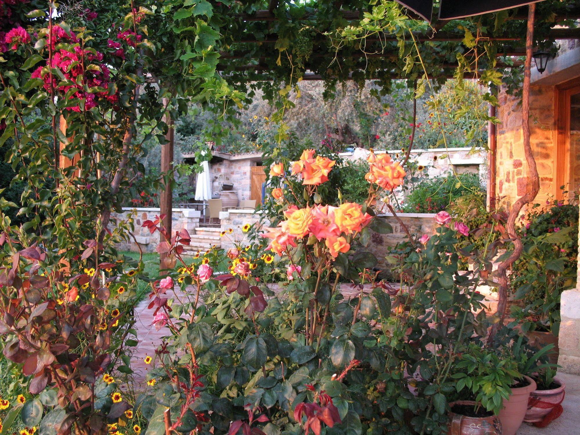 Angelica Villas Hotel Apartments Epidaurus Dış mekan fotoğraf